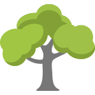Mesa Tree Trimming Service