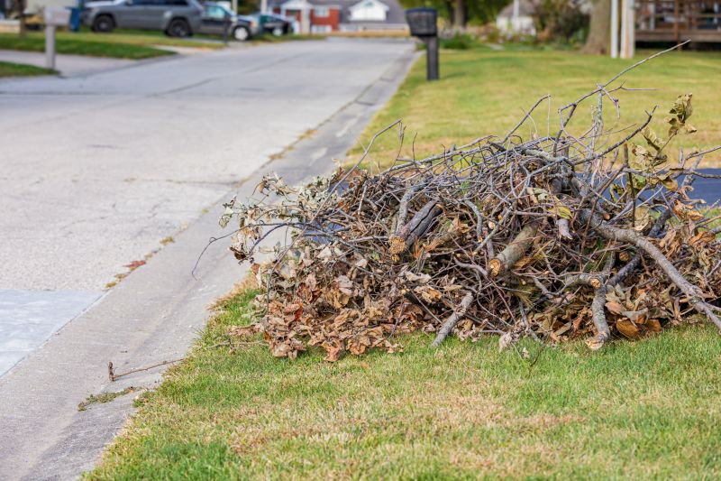 Residential Yard Cleanup